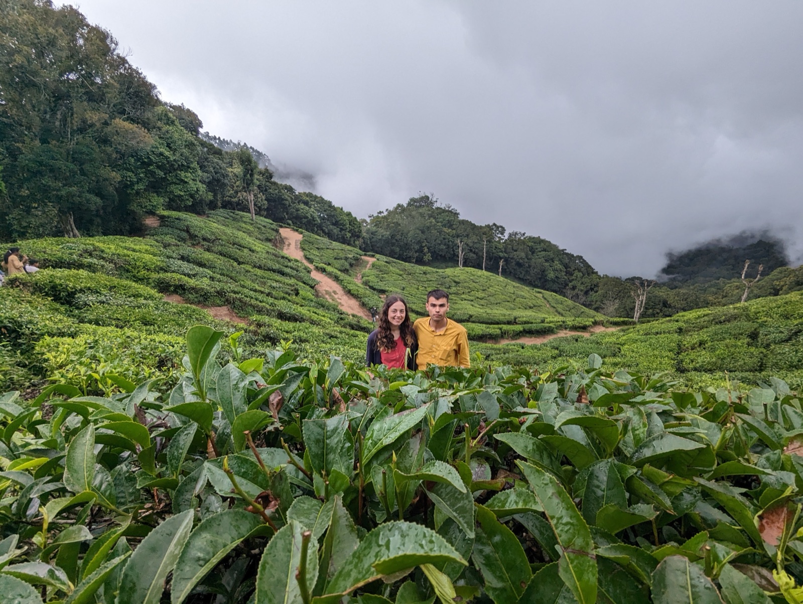 Lost in the tea hills after the rain. · China